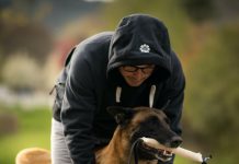 dog training videos