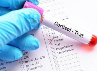 cortisol test kit