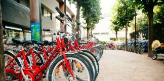 Bike Rentals